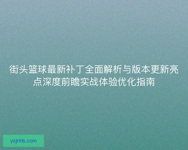 街头篮球最新补丁全面解析与版本更新亮点深度前瞻实战体验优化指南
